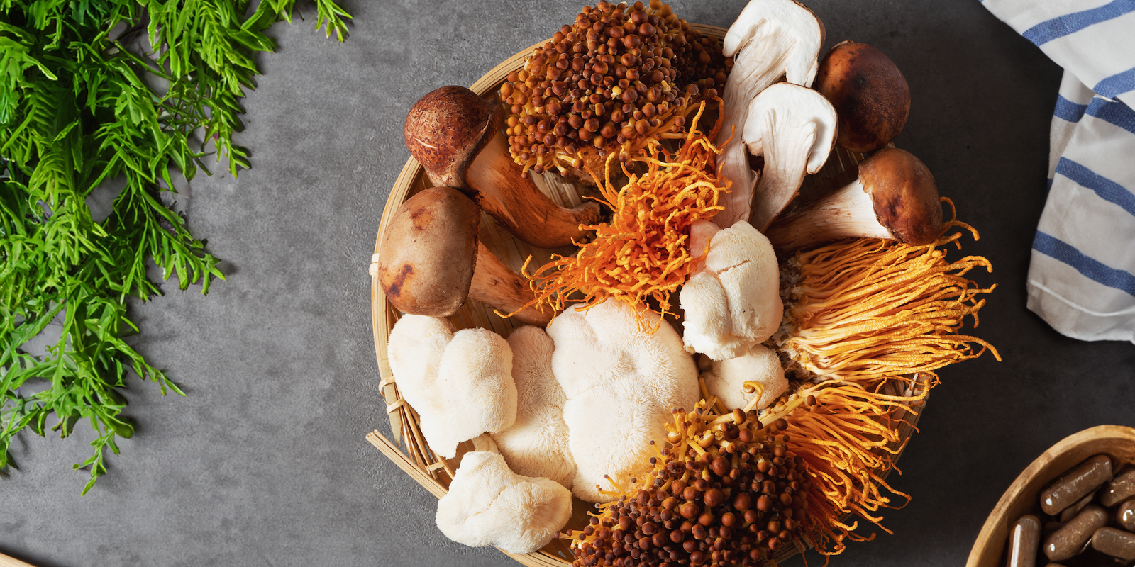 Troomy Products - Functional Products -  Holistic Wellness -  Energy - Sleep - Mood Balance - Brain Health - Lion’s Mane - Reishi - Cordyceps - Gummies - Troomy Nootropics in Whittier, CA