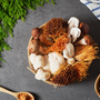 Troomy Products - Functional Products -  Holistic Wellness -  Energy - Sleep - Mood Balance - Brain Health - Lion’s Mane - Reishi - Cordyceps - Gummies - Troomy Nootropics in Whittier, CA