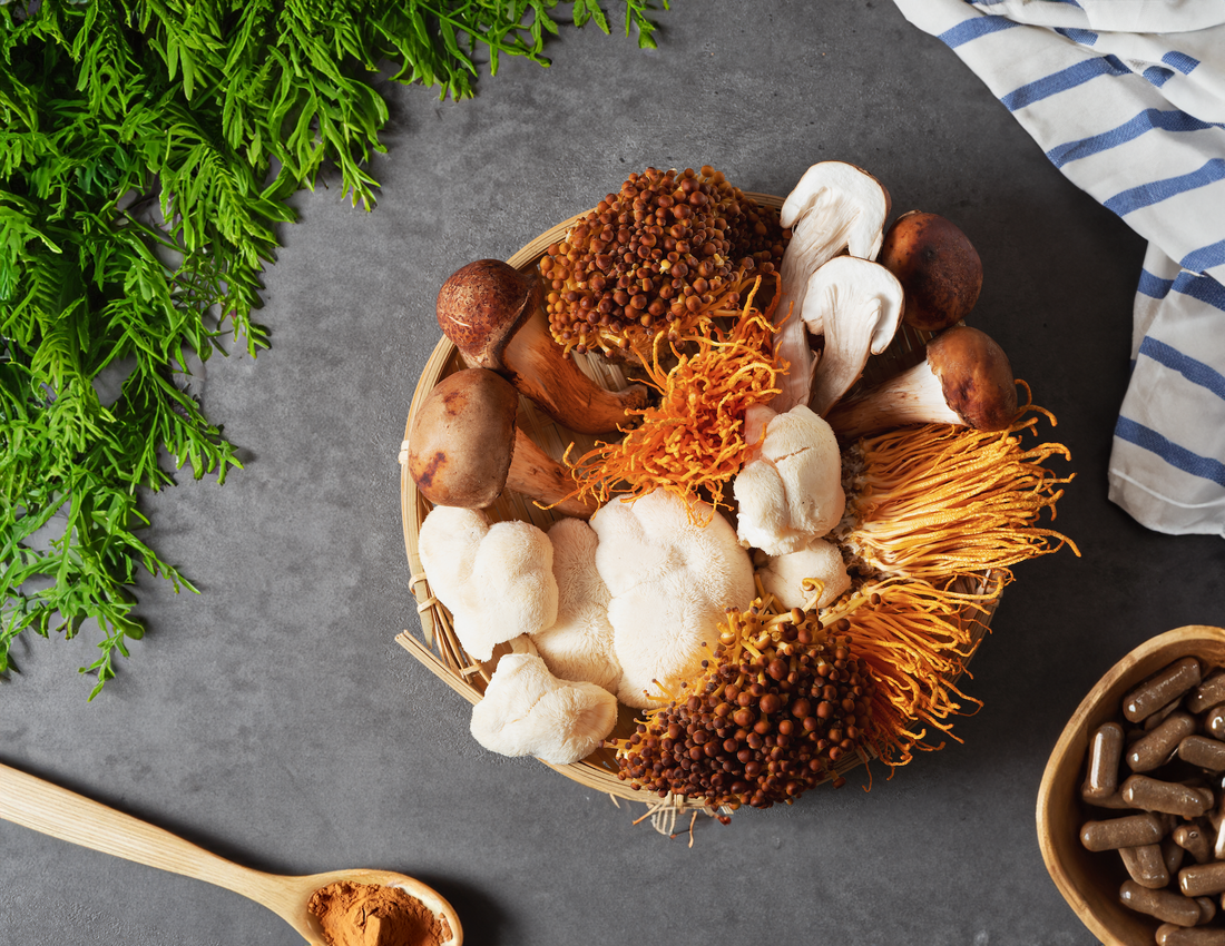 5 Mushrooms to Try in Your Diet Today