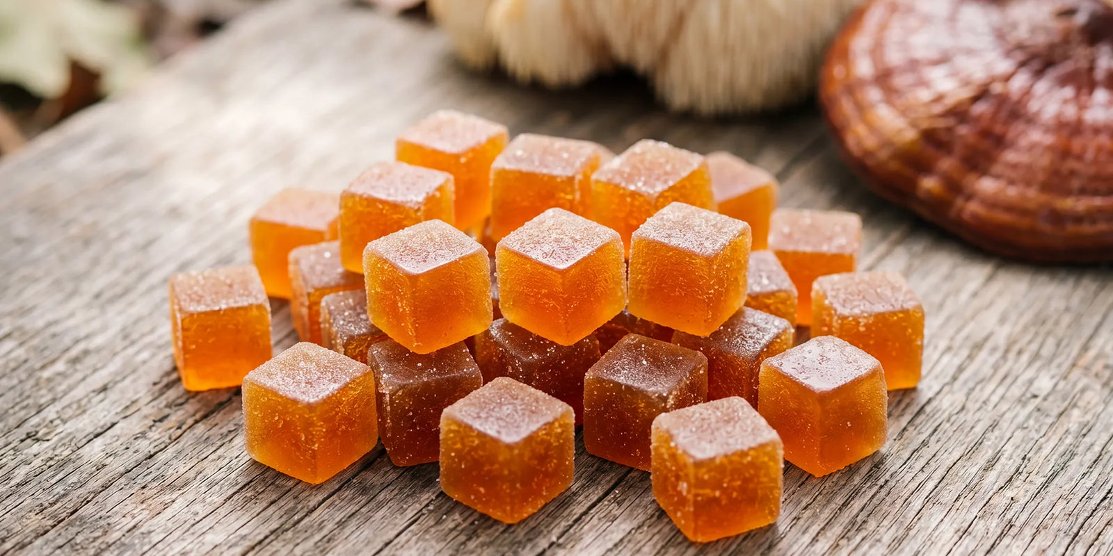 Mushroom Gummies