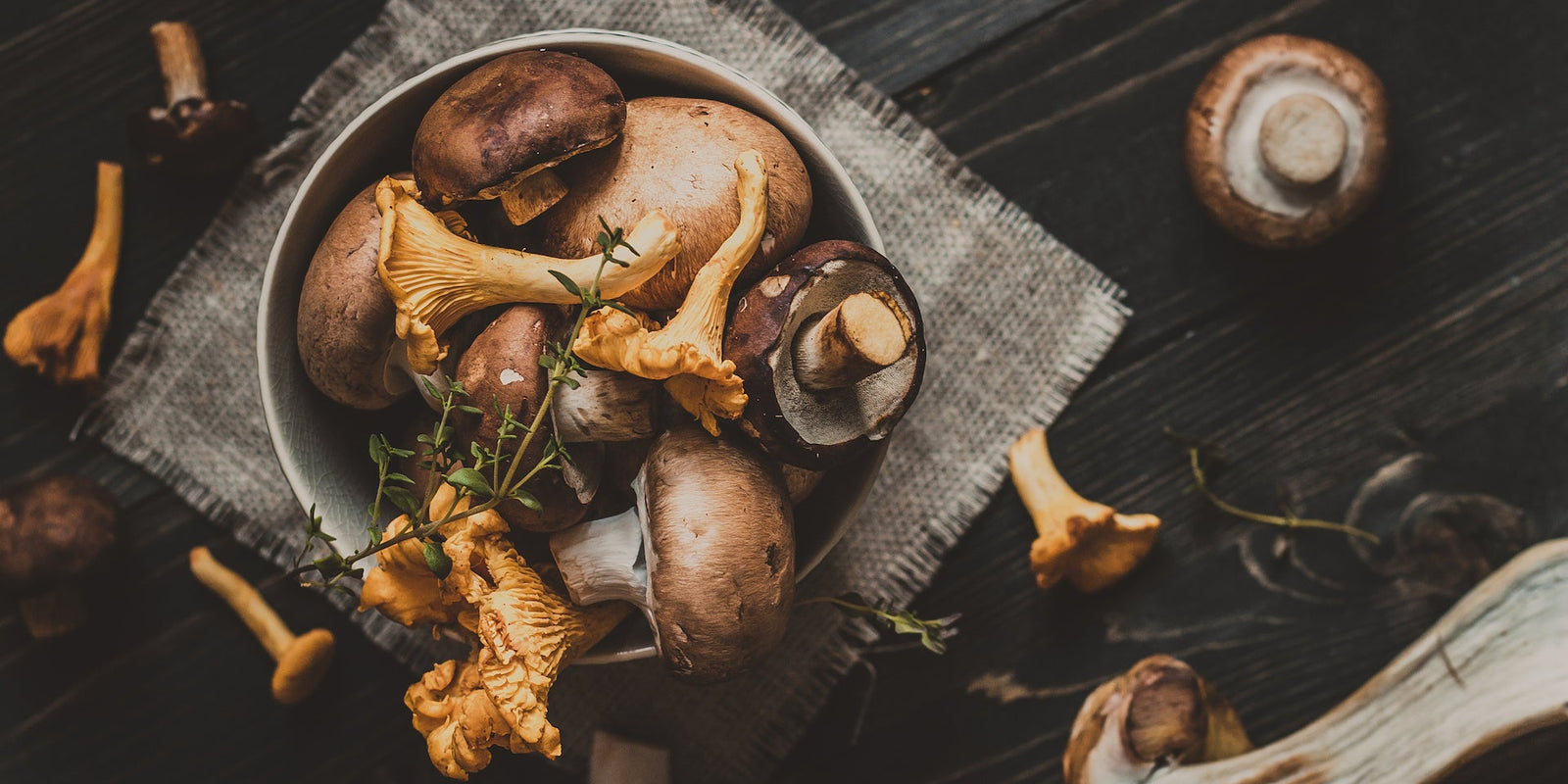 Biohacking - Functional Mushrooms  - Health benefits - Holistic Wellness  - Troomy Nootropics in Whittier, CA