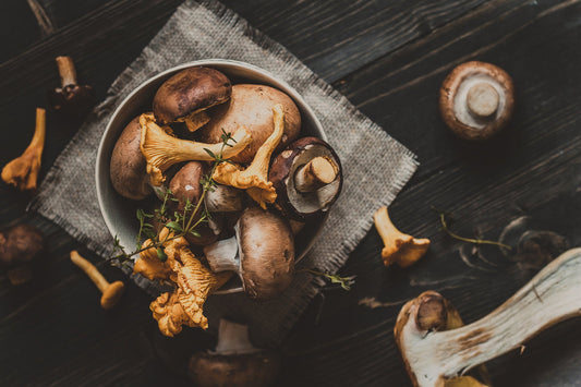 Biohacking - Functional Mushrooms  - Health benefits - Holistic Wellness  - Troomy Nootropics in Whittier, CA