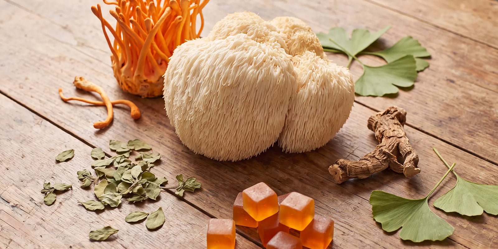 Mushroom Supplements vs Traditional Nootropics
