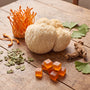 Mushroom Supplements vs Traditional Nootropics