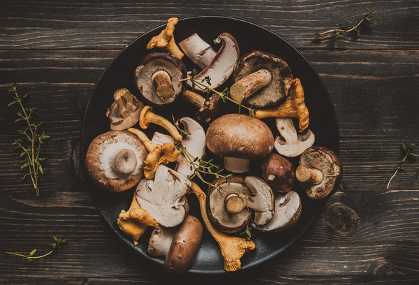 Functional Mushrooms  - Nootropics - Adaptogens - Health benefits - Holistic Wellness  - Troomy Nootropics in Whittier, CA