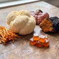 Nootropic Mushrooms