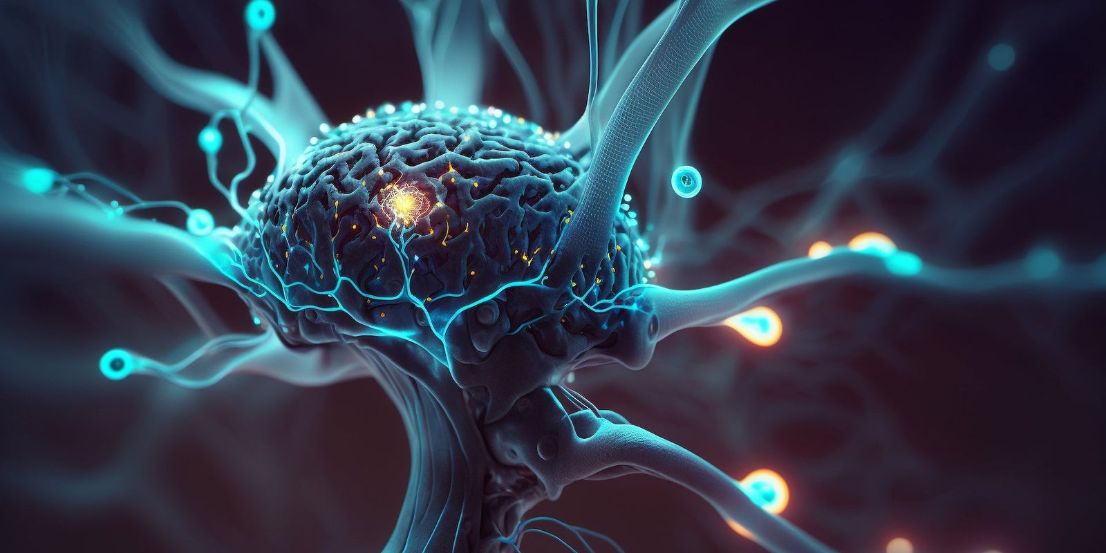 Nootropics - Functional Mushrooms  - Health benefits - Holistic Wellness -  Energy - Sleep - Mood Balance - Brain Health - Lion’s Mane - Reishi - Cordyceps - Troomy Nootropics in Whittier, CA