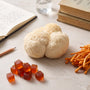 Nootropics for Studying