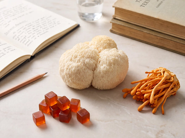 Nootropics for Studying