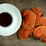 Reishi Mushroom - Calm - Stress Relief - Mood Support - Sleep Support - Troomy Nootropics in Whittier, CA