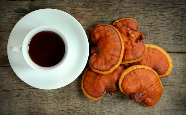 Reishi Mushroom - Calm - Stress Relief - Mood Support - Sleep Support - Troomy Nootropics in Whittier, CA