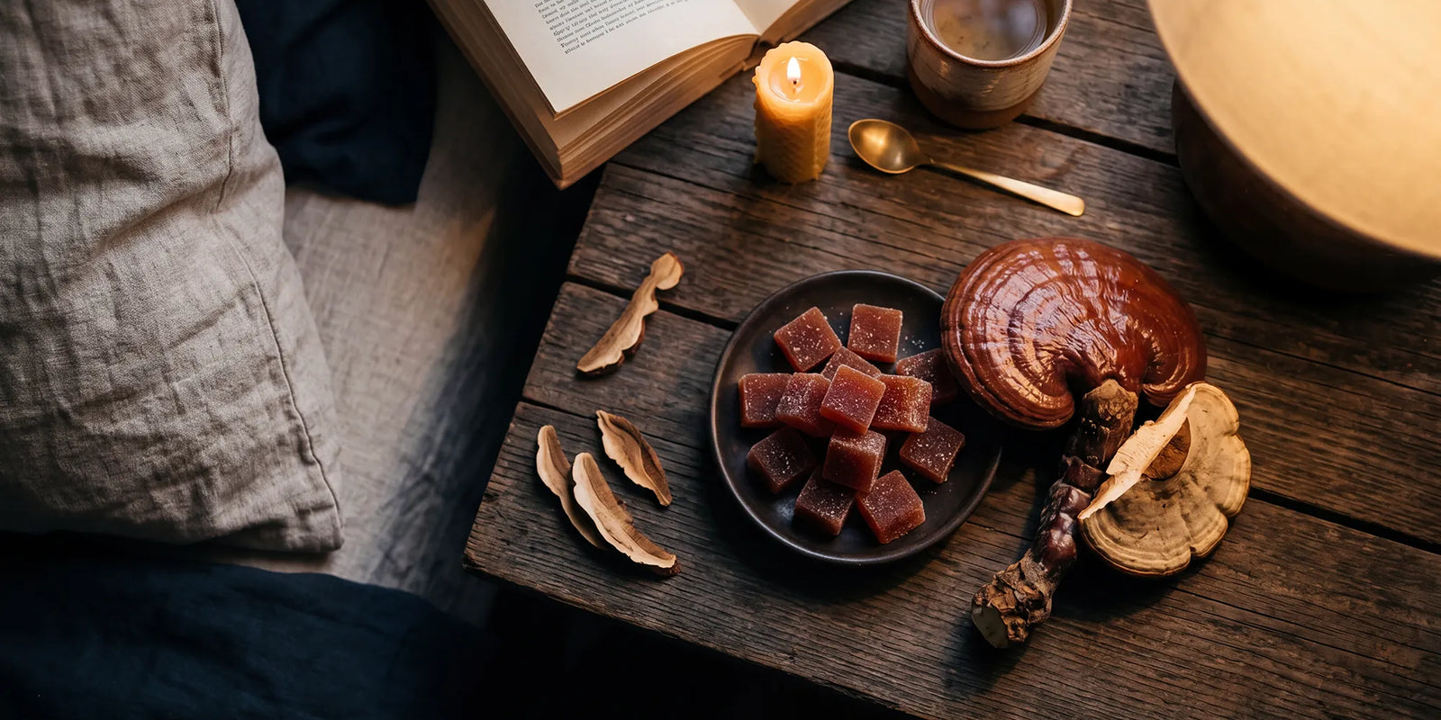 Reishi Mushroom Gummies for Sleep