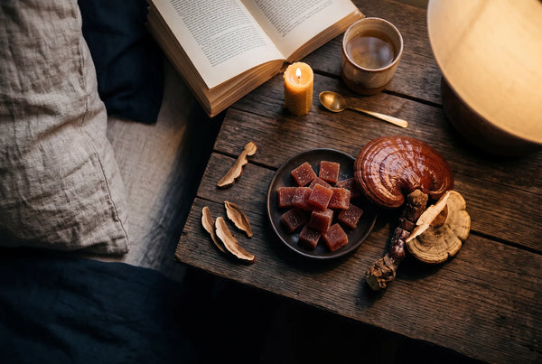 Reishi Mushroom Gummies for Sleep