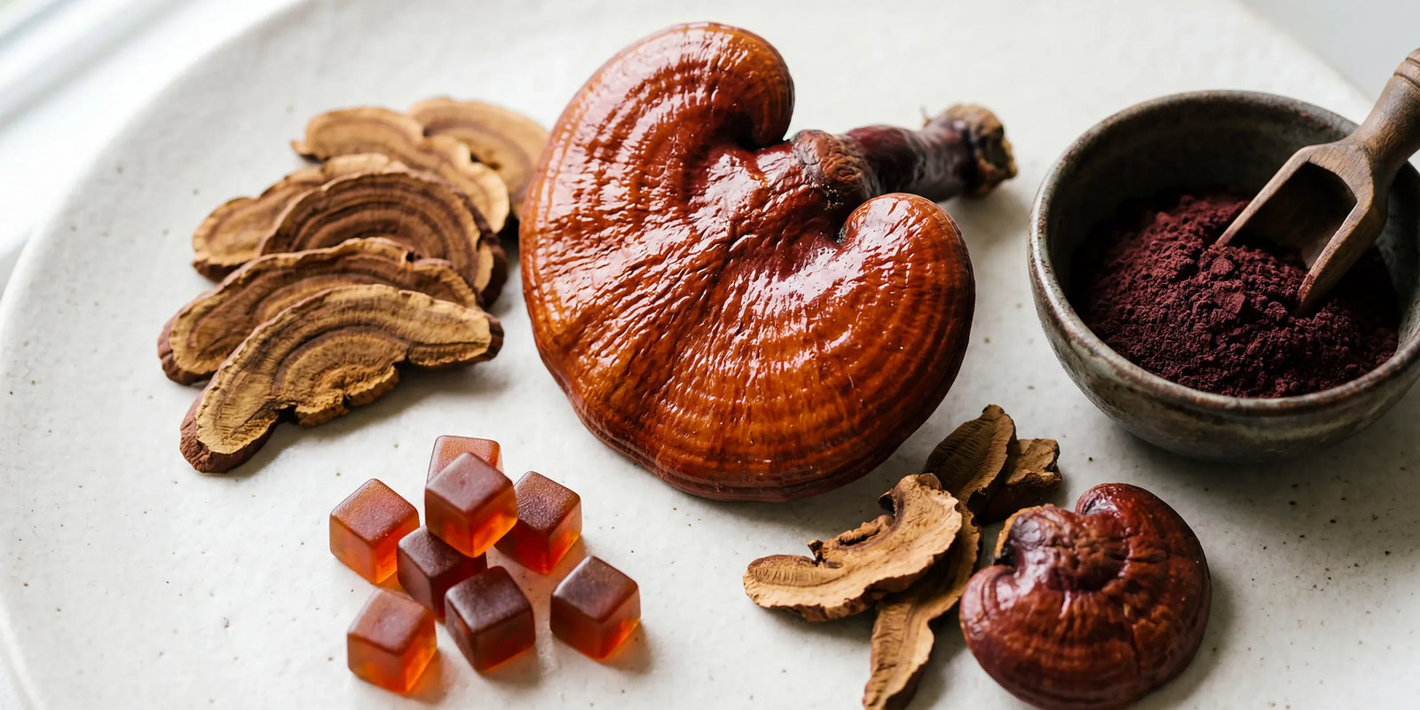 Reishi Mushroom for Immune Support