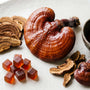 Reishi Mushroom for Immune Support