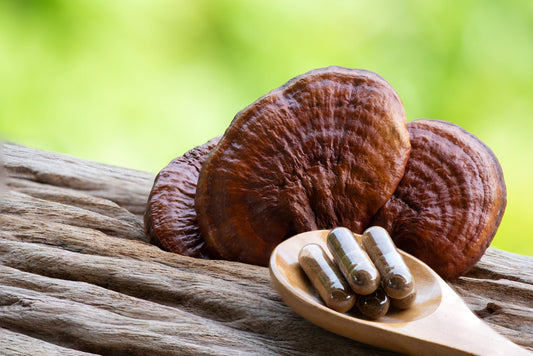 Reishi Mushroom - Calm - Stress Relief - Mood Support - Sleep Support - Troomy Nootropics in Whittier, CA