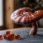 Reishi for Stress and Anxiety