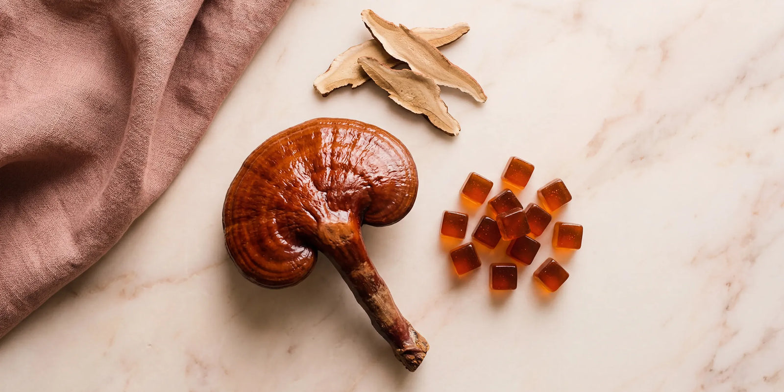Reishi for Women