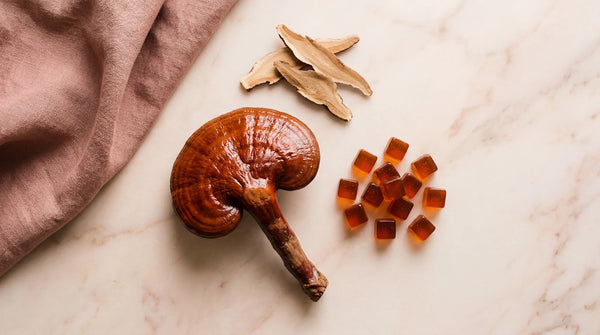 Reishi for Women