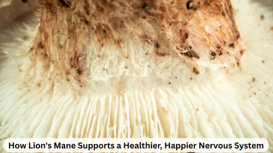 Lion’s mane