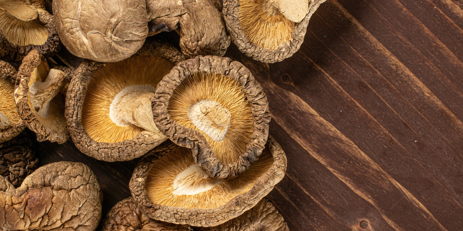 Gut Health - Functional Mushrooms  - Health benefits - Holistic Wellness -  Energy - Sleep - Mood Balance - Brain Health - Lion’s Mane - Reishi - Cordyceps - Troomy Nootropics in Whittier, CA