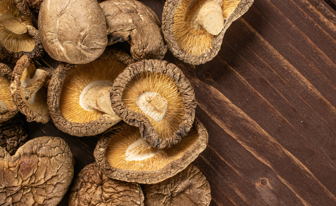 Shiitake Mushrooms: Superfoods for 2023 Health and Wellness Routines