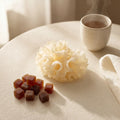 Snow Mushroom Benefits