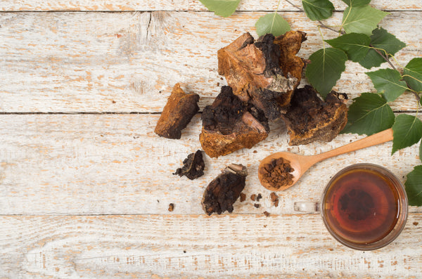 Chaga Mushroom Blends - Functional Mushrooms  - Nootropics - Adaptogens - Health benefits - Holistic Wellness  - Troomy Nootropics in Whittier, CA