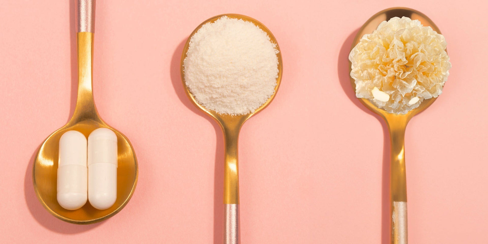 Collagen - Skin Care - Shine Beauty Gummies - Tremella + Biotin for Skin and Hair - Powder  - Troomy Nootropics in Whittier, CA