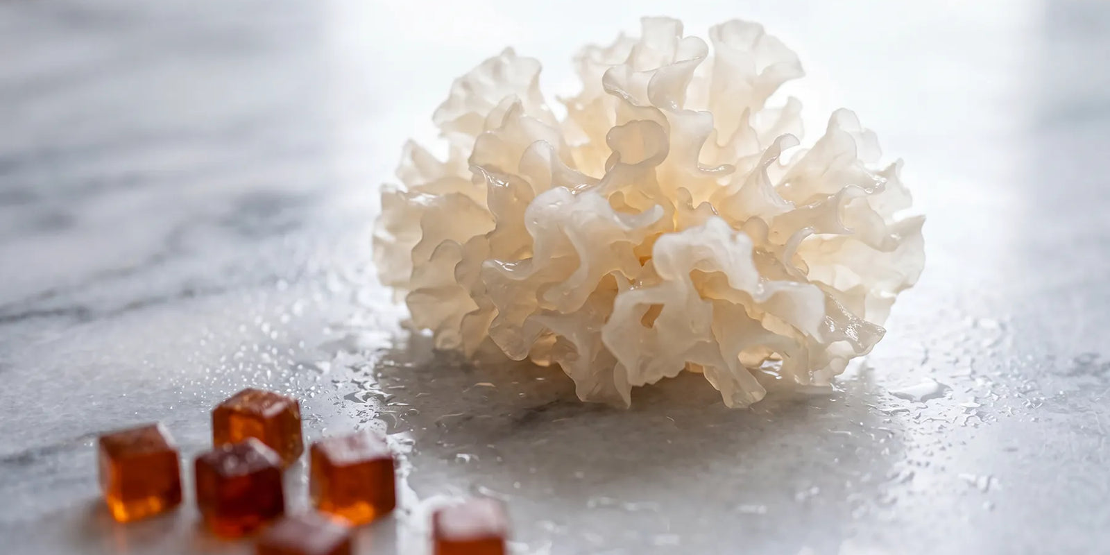Tremella Mushroom