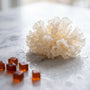 Tremella Mushroom