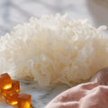 Tremella Mushroom