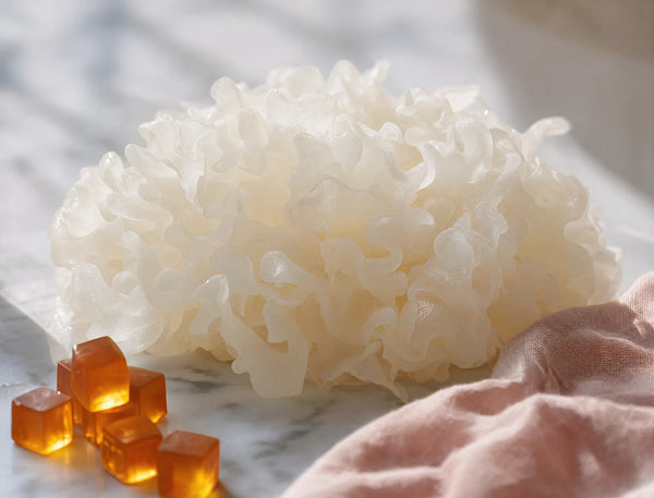Tremella Mushroom