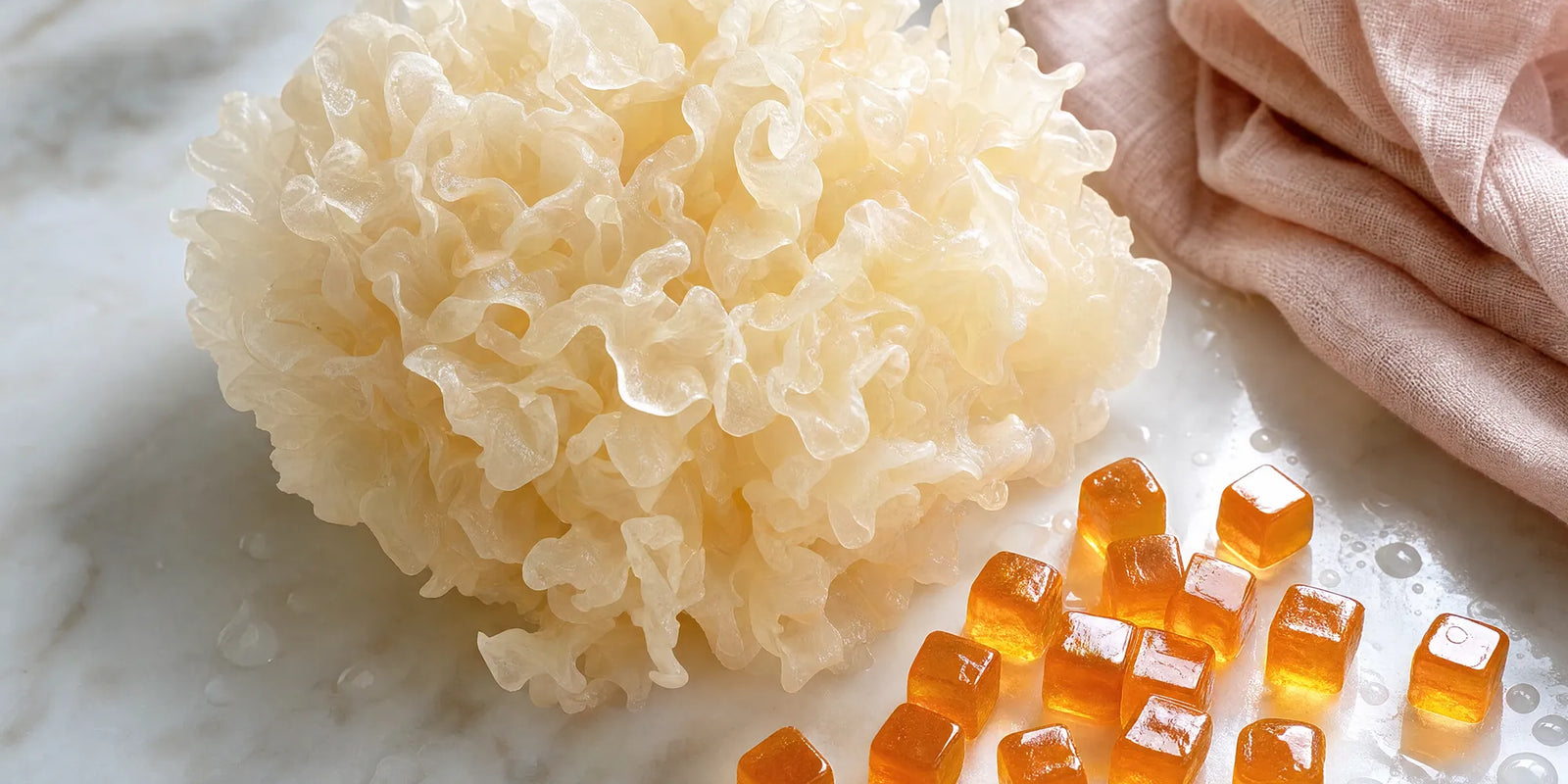 Tremella Mushroom for Skin Hydration