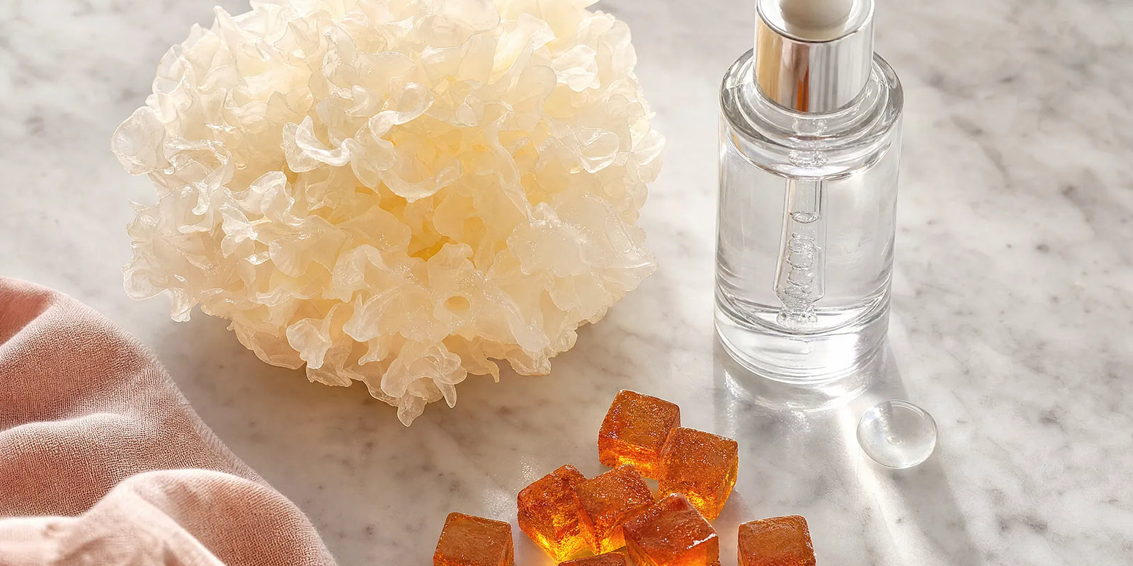 Tremella Mushroom vs Hyaluronic Acid