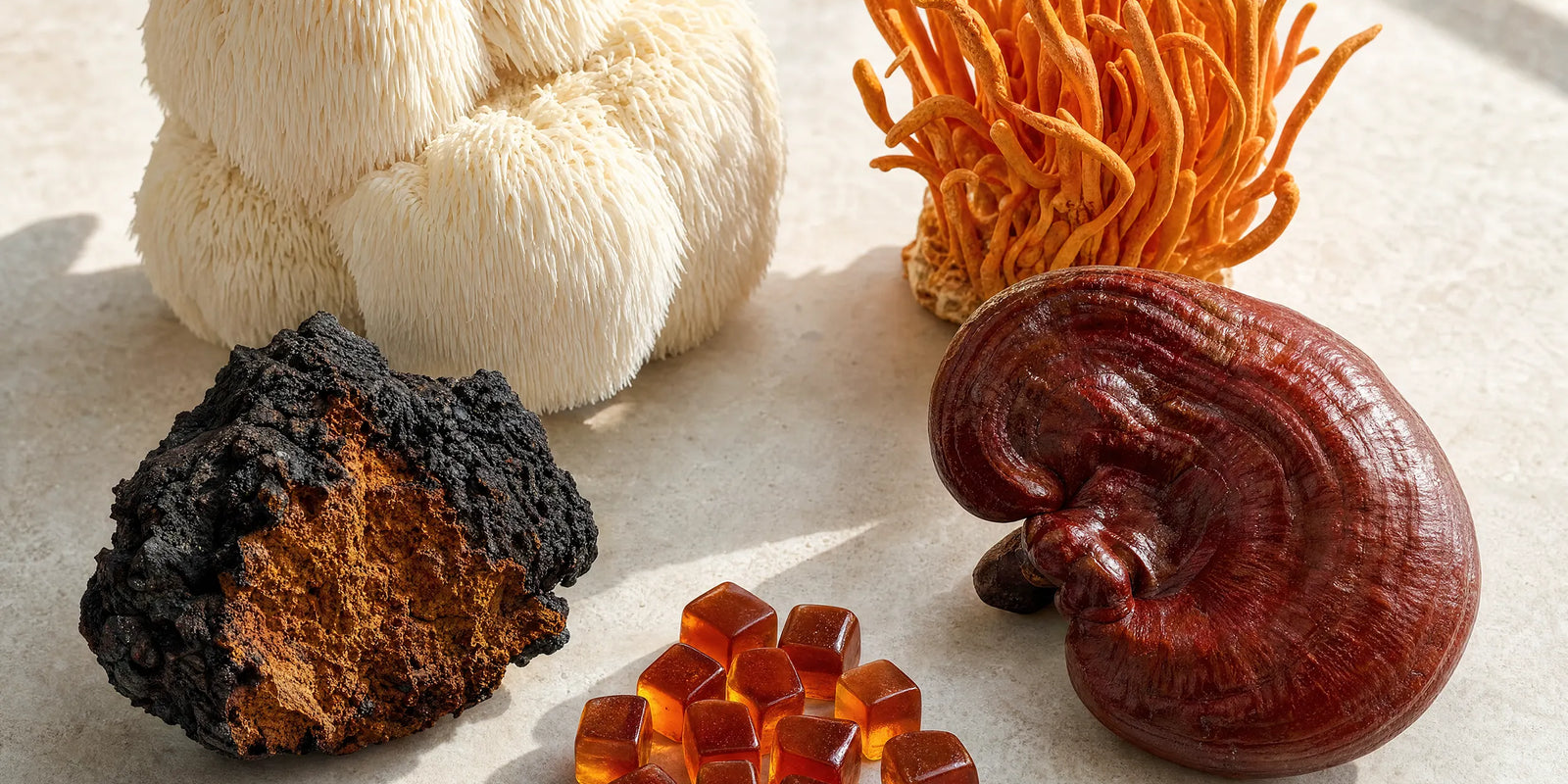 What Are Adaptogens?