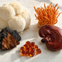 What Are Adaptogens?