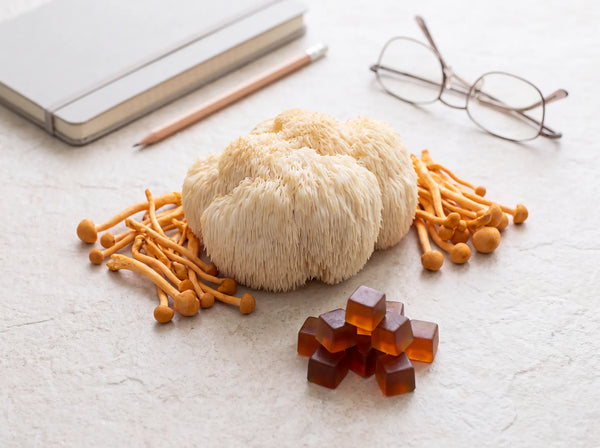 What Are Nootropics