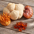 brain fog causes