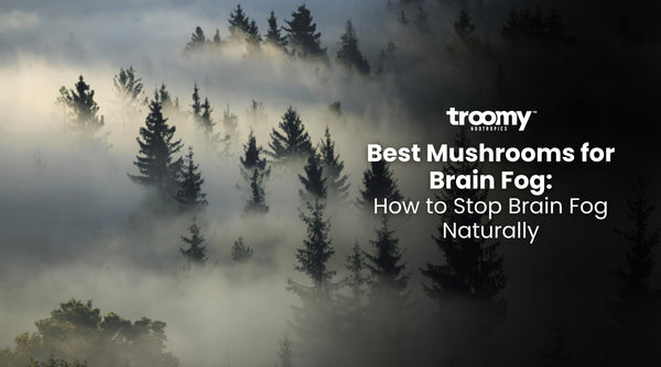 best mushrooms for brain fog
