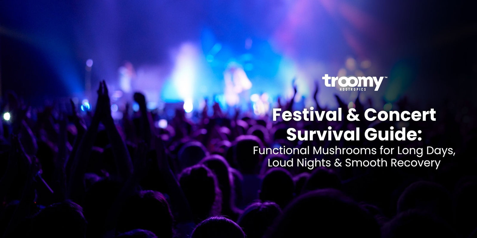 festival and concert survival guide