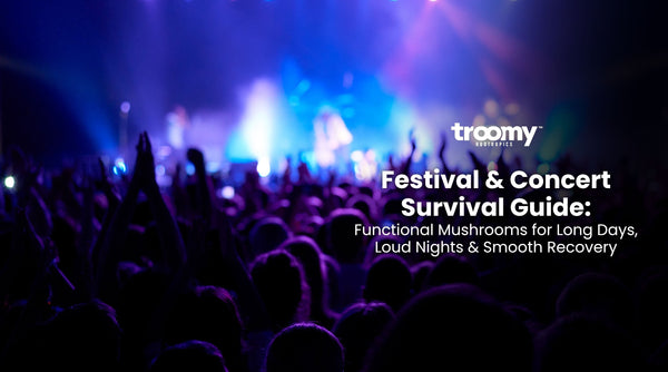 festival and concert survival guide