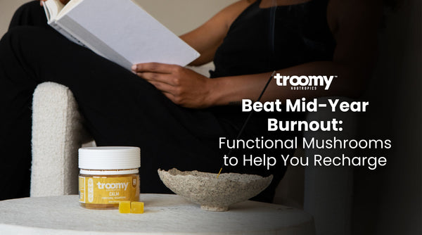 functional mushrooms for anxiety relief