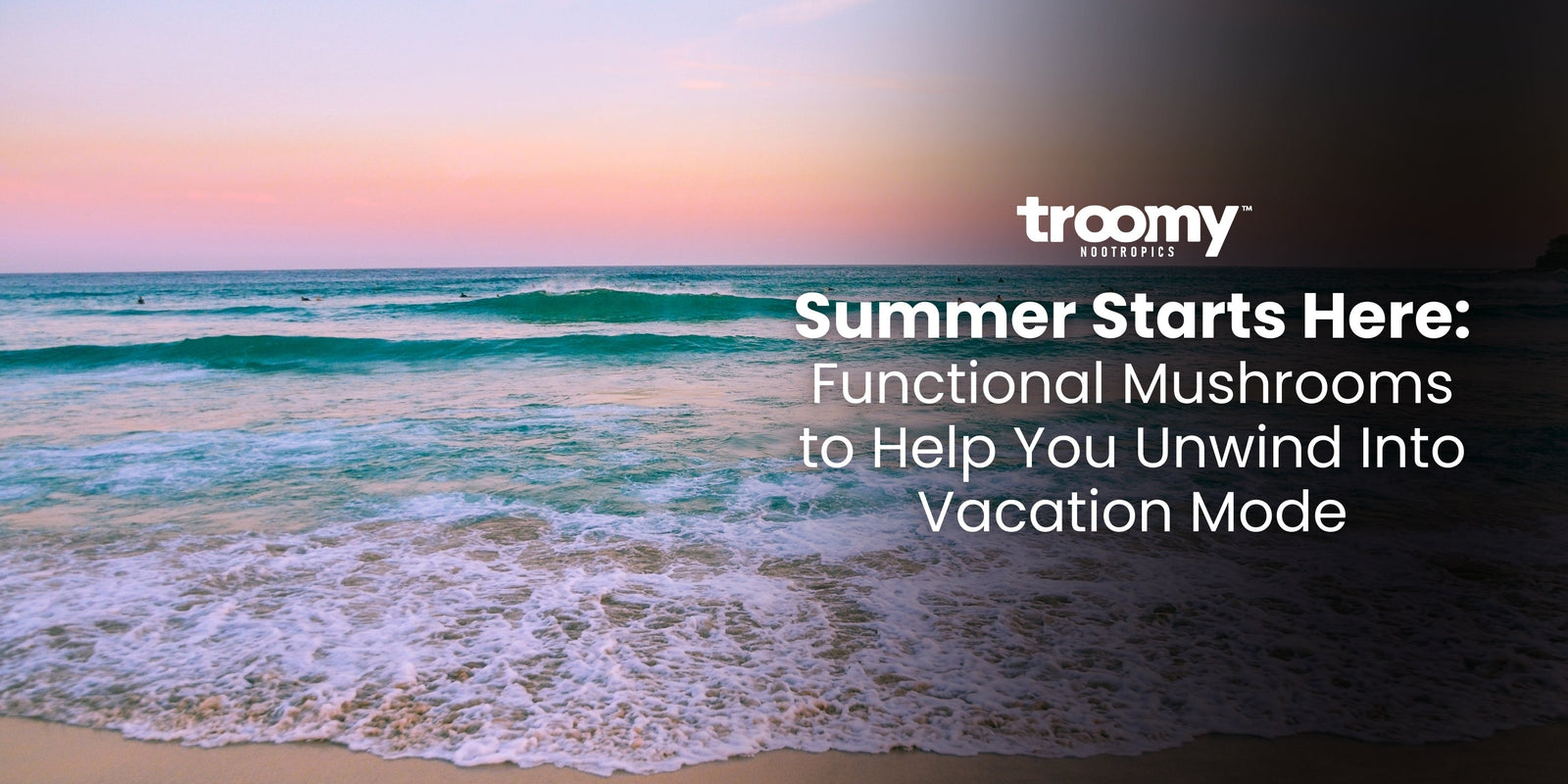 Summer Starts Here: Functional Mushrooms to Help You Unwind Into Vacation Mode
