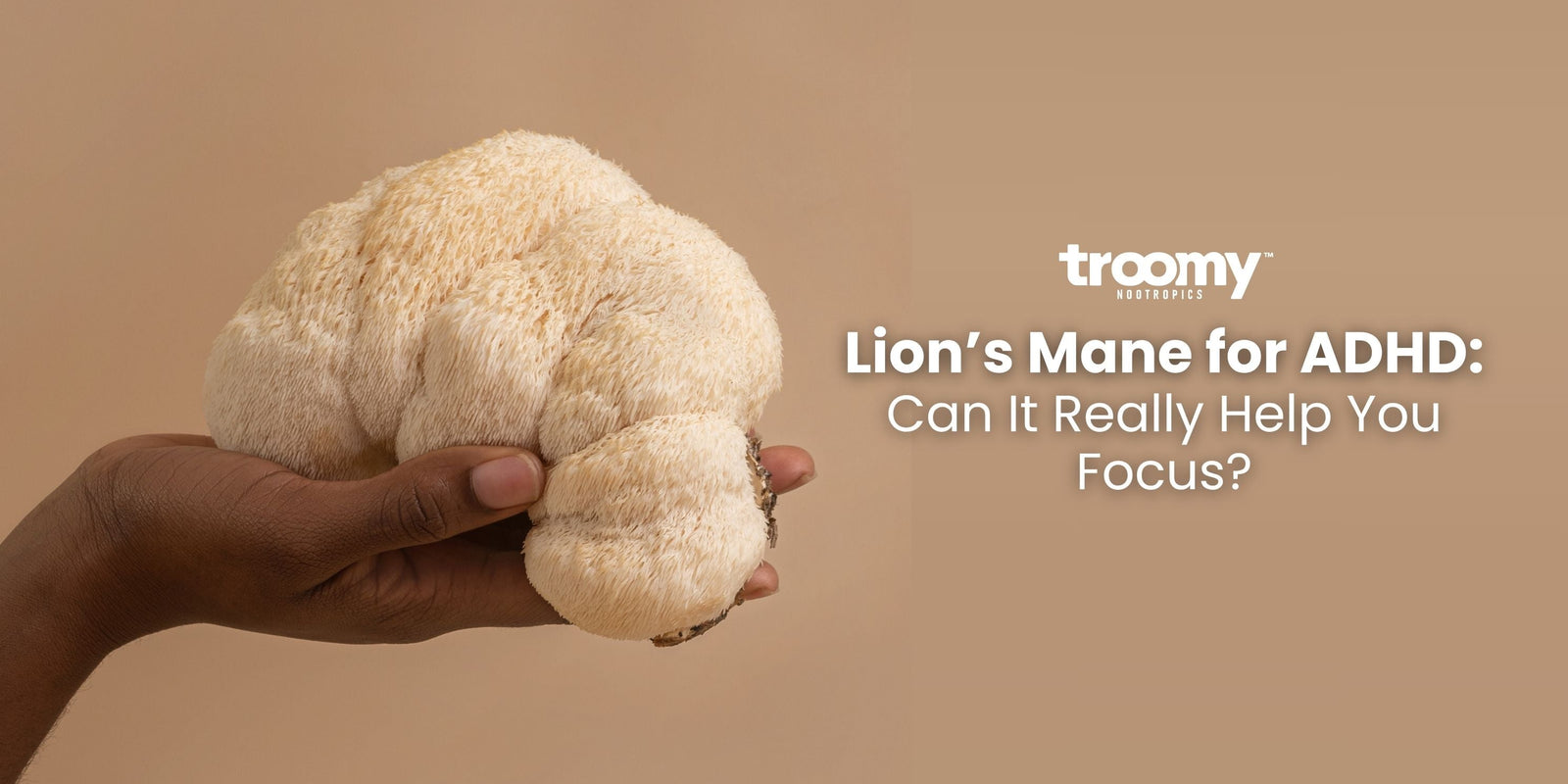lion's mane for ADHD