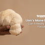 lion's mane for ADHD