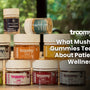 mushroom gummies