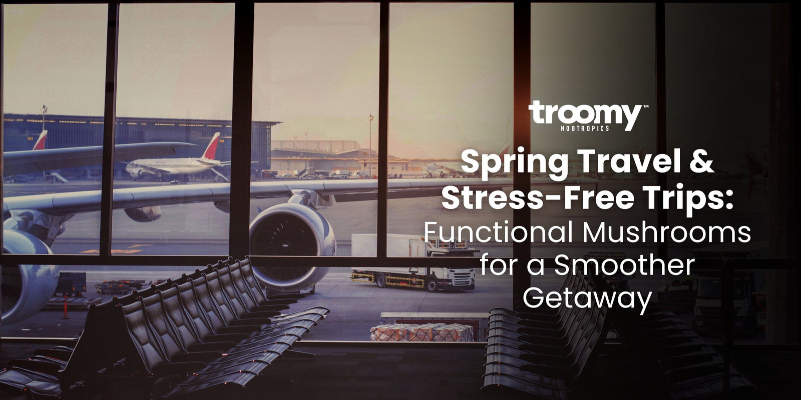 Spring Travel and Stress-Free Trips: Functional Mushrooms for a Smoother Getaway