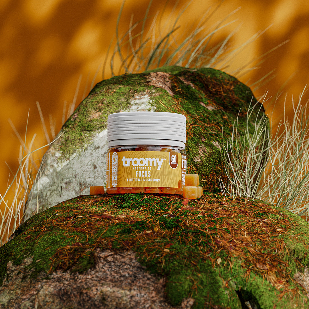 Focus product render