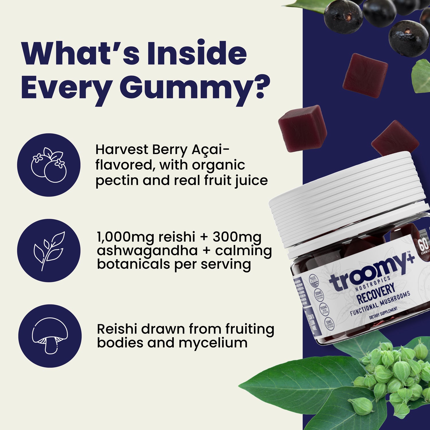 Recovery: Reishi Mushroom Gummies with Ashwagandha